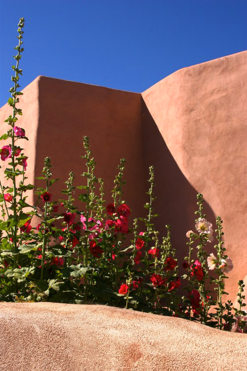 Ranchos Church & Hollyhocks